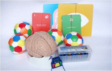 Inhalte aus der Hirnforscher-Box: Ein Gehirn, mehrere bunte Bälle und bunte Karten