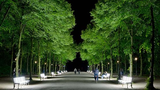 Allee mit hell leuchtenden Parkbänken im Düsseldorfer Hofgarten